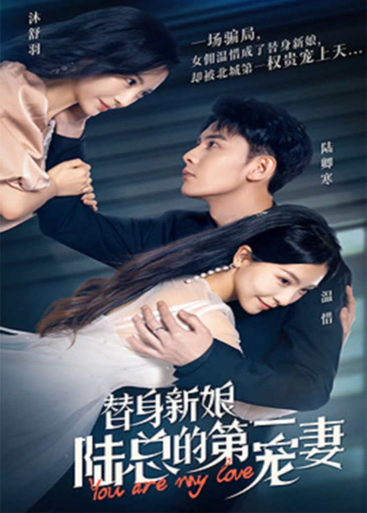 替身新娘：陆总的第一宠妻