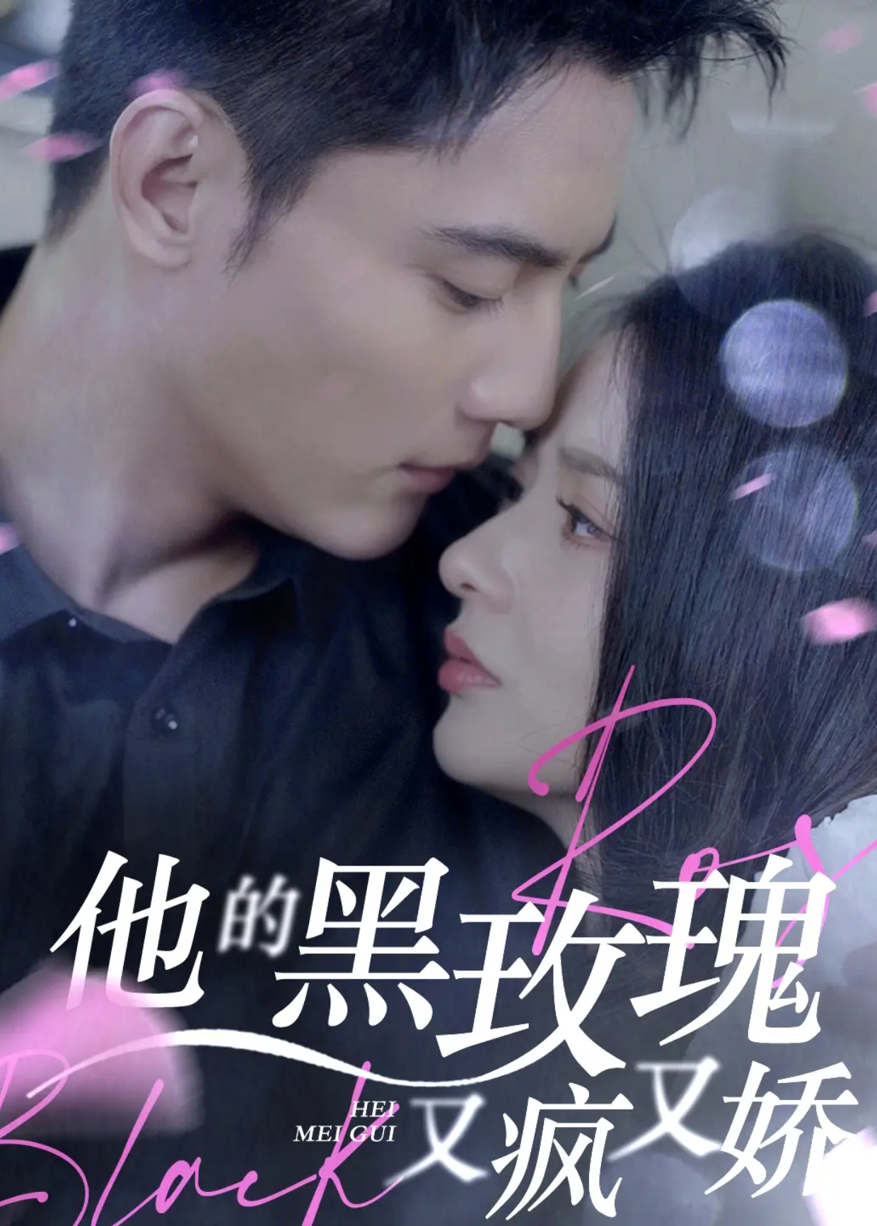 他的黑玫瑰又疯又娇