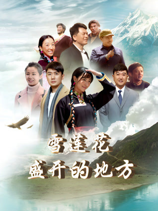 雪莲花盛开的地方