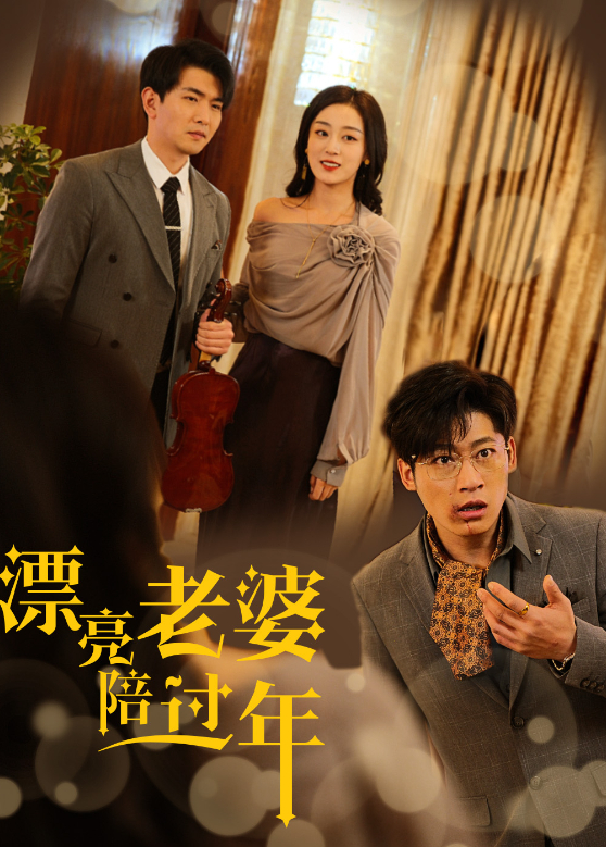 漂亮老婆陪过年