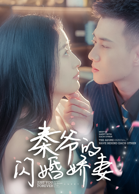 秦爷的闪婚娇妻